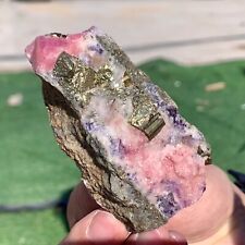 194G Mineral specimens of natural rhodochrosite coexisting with purple fluorite picture