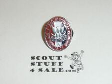 Eagle Scout Enameled Lapel Pin, 3/4