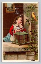 Metropolitan Life Insurance Industrial Girll Pet Bird Cage Fall River P272 picture