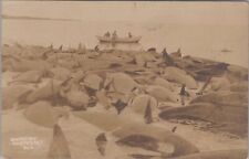Blackfish Nantucket Massachusetts 1918 Whales Ashore RPPC Photo Postcard picture