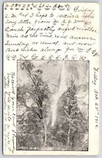 1910's Yosemite Falls California Trees Sightseeing Tourist Attraction Postcard picture
