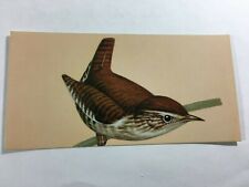 Vintage Beautiful Bird Art Print 6X3