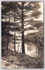 Frankfort MI Michigan RPPC Crystal Lake Thru Trees WH Sharp Photo Postcard P27 picture