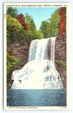 Postcard Cascade Falls Pembroke Virginia VA Near Mountain Lake picture