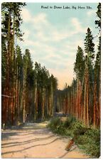 Dome Lake Wyoming Rare Antique Postcard Sheridan County WY 1910 Big Horn Mts picture