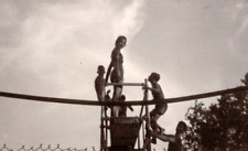 1950's Young Woman Swimsuit Diving Board Silhouette Boys VTG photo Original picture