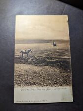Mint Germany English French Postcard The Dead Sea Horse Boat picture