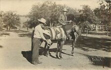 RPPC; Pack Horse w/ Unusual Canteen Used in Wichita National Forest of Oklahoma picture