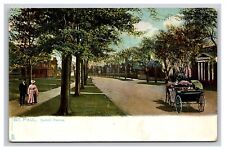 View On Summit Ave. St. Paul Minnesota MN Postcard picture