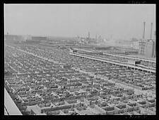 Union Stockyards,Chicago,Illinois,IL,Cook County,Farm Security Administration,21 picture