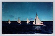 Ithaca NY-New York, Summer Sailing on Cayuga Lake, Finger Lake, Vintage Postcard picture