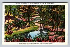 Palatka FL-Florida, Azalea Ravine Gardens, River Scene, Vintage Postcard picture