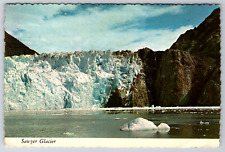 c1960s Sawyer Glacier Alaska Juneau Tracy Arm Vintage Postcard picture