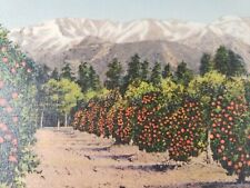 C 1947 Oranges Trees and Snow Capped Mountains CA Linen Vintage Postcard picture