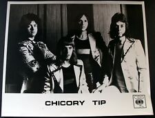 Chicory Tip Press Kit Official Vintage CBS Records Promotion 1972 picture