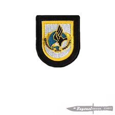 101st Airborne Division Flash and DUI Embroidered Patch  - Wax Backed Patch picture