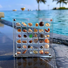 Acrylic Magnetic Seashell Display Box, Clear Organizer Container Craft Storage picture