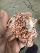 ✨BEAUTIFUL PEACH/PINK CAVE CHALCEDONY picture
