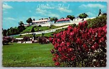 Mackinac Island Lilac Festival Marquette Park Michigan MI Postcard UNP VTG picture