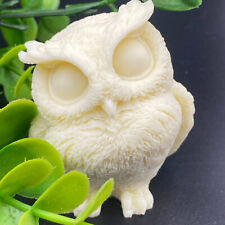 Natural Genuine Tagua Nut Carved owl Decor reiki healing gift 1PC picture