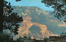 Postcard AZ Grand Canyon Arizona Unused Chrome Antique Vintage PC f4082 picture