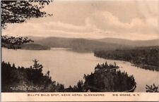 Big Moose NY Billys Bald Spot Aerial View Supply Co Albertype postcard IQ15 picture