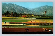 Arcadia CA-California, San Gabriel Mountains, Santa Anita, Vintage Postcard picture
