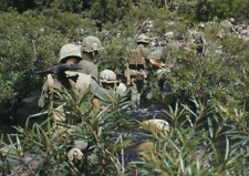 Vietnam  War  Photos --  US Soldiers Moving Through Jungle picture