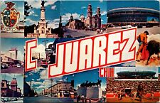 Greetings From Ciudad Juarez Chihuahua Mexico Multiview Postcard L66 picture
