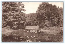 Körmend Vas Hungary Postcard Scene of Ducks Walking on the Road 1923 Posted picture