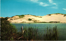 Postcard Cape Cod Sand Dunes, Cape Cod, Massachusetts picture