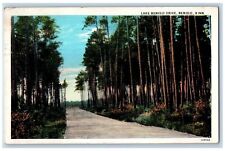 1931 Lake Bemidji Drive Street Groves View Bemidji Minnesota MN Vintage Postcard picture