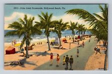 Hollywood FL-Florida, On Beach Palm Lined Promenade, Antique Vintage Postcard picture
