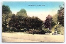 Postcard The Common Walpole Massachusetts picture