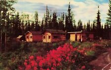 Cabins at Border City on Alaska Hwy - Alaska AK - PM 1956 Postcard picture