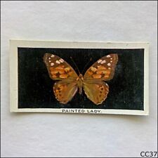 Abdulla British Butterflies #7 Painted Lady 1935 Cigarette Card (CC37) picture