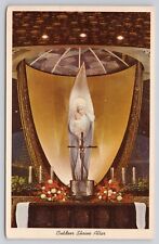 Outdoor Shrine Altar Our Lady of the Snows Belleville IL Illinois 1969 Postcard picture