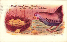 Don't Count Your Chickens Before They Hatch Art Embossed c1907 Postcard picture