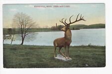 Deer & Lake Haverhill Massachusetts Divided Back Postcard picture