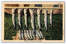 c1940's Greetings From Oakley Kansas KS Unposted Hanging Dried Fish Postcard picture