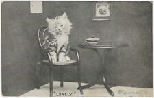 Kitten on Small Chair at Toy Table Original Cat Photo Postcard Animal Interior picture