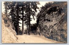 Postcard CA Mountain Road California Redwood Park RPPC Real Photo c1910s #2AE27 picture
