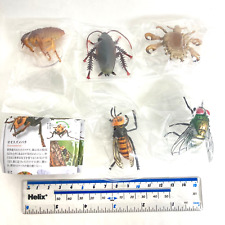 Kaiyodo Capsule Q Museum Harmful Insect Figure Set of 5 Japan Hornet Cockroach picture