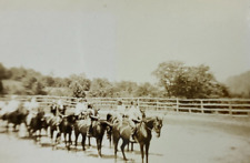 Group Of Girls On Horseback B&W Photograph 3.25 x 4.5 picture