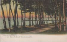 Along the Beach Wequetonsing Michigan 1910 Postcard picture
