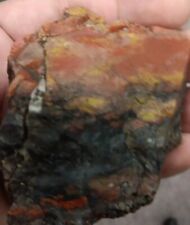 Volcanic Petrified Wood Limb Cast Orange Red Yellow Rare Rough Display Utah picture