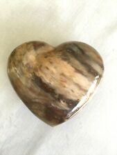 259G. Multicolor Petrified Wood Heart,  Fossilized Tree Mineral 3.1/8