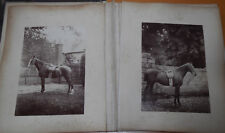 1889 photo album UK Victorian England horses portraits Germany Photochrom Zurich picture