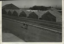 1942 Press Photo Wheat tents at Mabton Washington - spx12973 picture