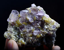 62.g Natural Octahedron Purple FLUORITE Pyrite Mineral Specimen/Inner Mongolia picture